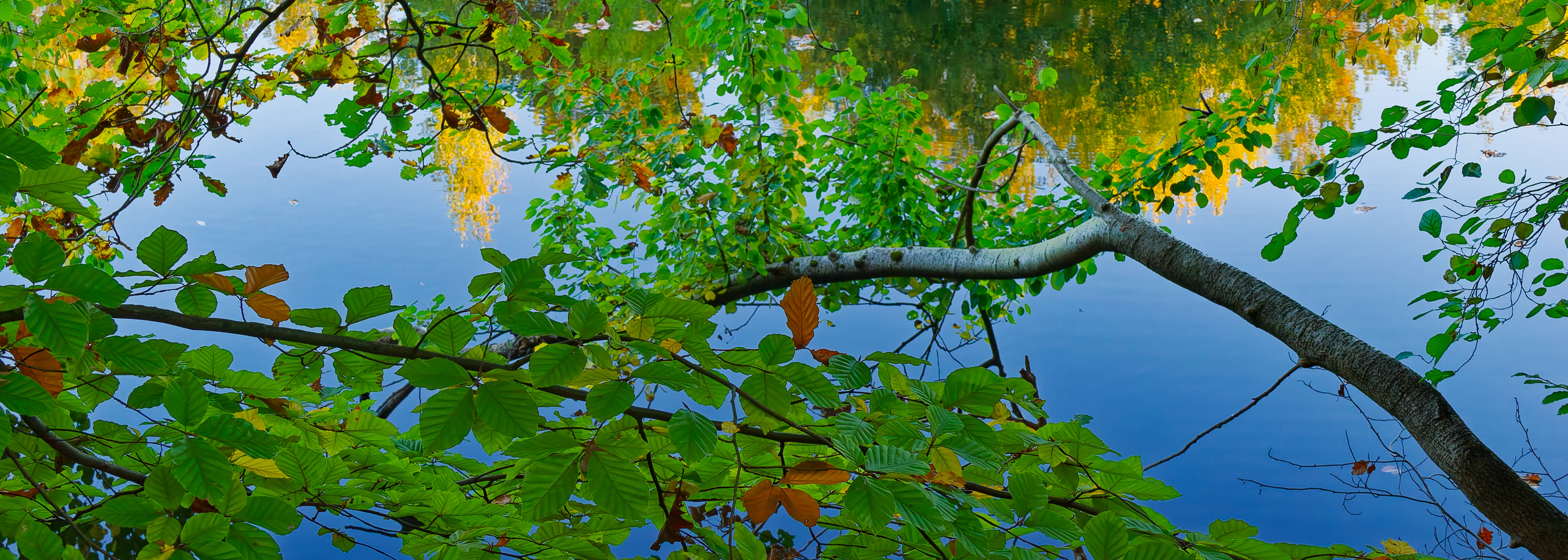 Winter am Allerkanal